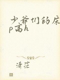 少爷们的床奴np高h