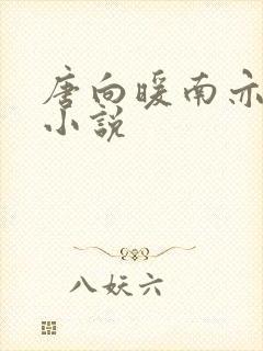 唐向暖南亦琛的小说