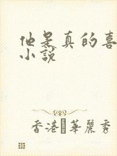 他是真的喜欢你小说