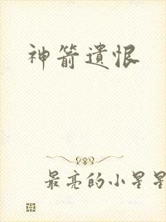 神箭遗恨
