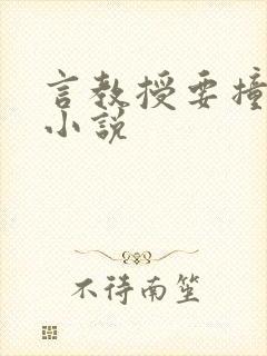 言教授要撞坏了小说