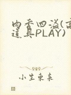 肉香四溢(高H道具PLAY)