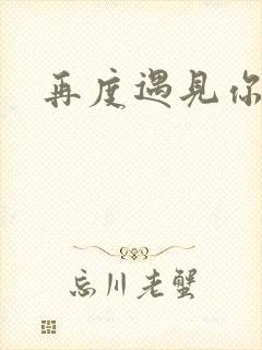 再度遇见你