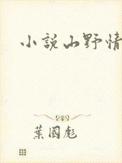 小说山野情债