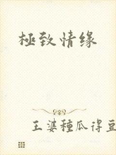 极致情缘