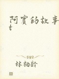 阿宾的故事txt