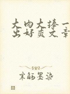 大肉大捧一进一出好爽文章