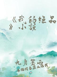 《我的绝品韵母》小说