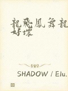 龙飞凤舞龙王你好坏