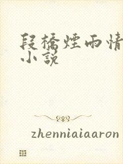 段桥烟雨情难离小说