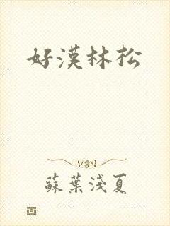 好汉林松