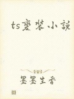 ts变装小说