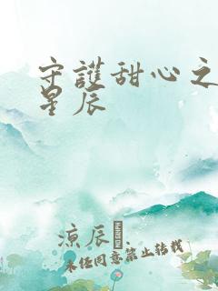 守护甜心之暗夜星辰