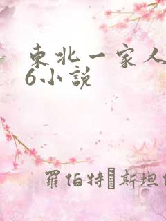 东北一家人1一6小说