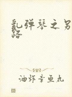 乱弹琴之另一条路