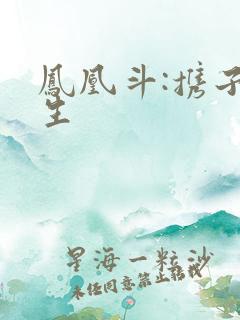 凤凰斗:携子重生