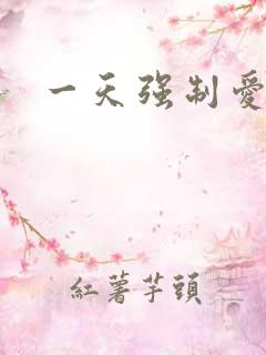 一天强制爱