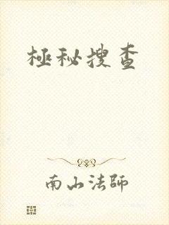 极秘搜查
