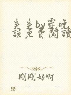 炎炎by霁晚小说免费阅读全文