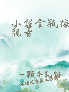 小说金瓶梅在线观看