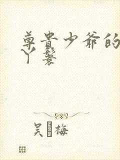 尊贵少爷的大牌丫鬟