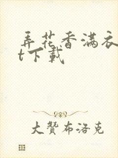 弄花香满衣txt下载