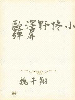 欧泽野佟小曼无弹屏