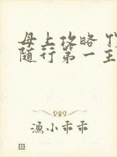 母上攻略 竹影随行第一主板