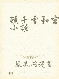 顾千雪和宫凌沨小说