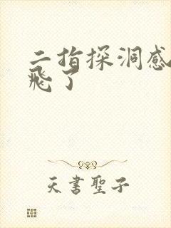 二指探洞感觉要飞了