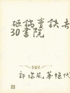 砸锅卖铁去上学30书院