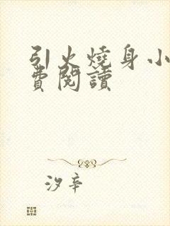 引火烧身小说免费阅读