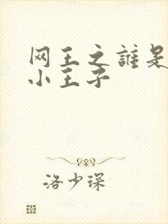 网王之谁是我的小王子
