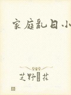 家庭乱日小说