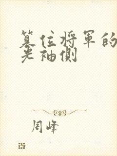 篡位将军的白月光袖侧