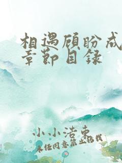 相遇顾盼成欢全章节目录