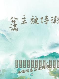 公主被侍卫填的满