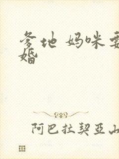 爹地 妈咪要逃婚