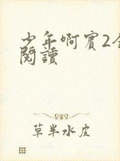 少年啊宾2全文阅读