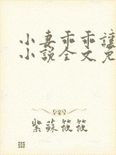 小妻乖乖让我宠小说全文免费阅读