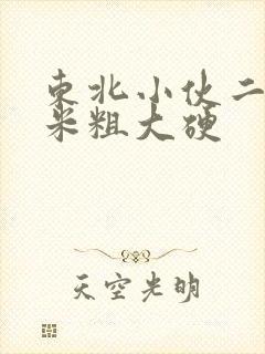 东北小伙二十厘米粗大硬