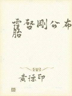 霍启刚公布龙凤胎