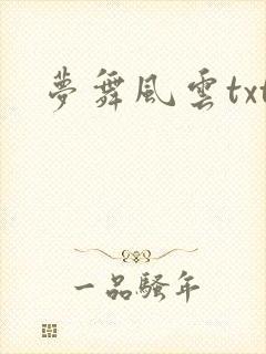 梦舞风云txt