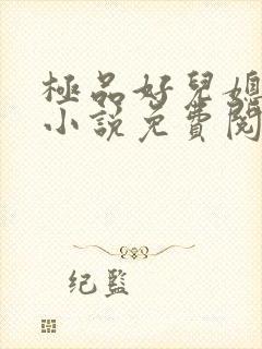 极品好儿媳苏灿小说免费阅读