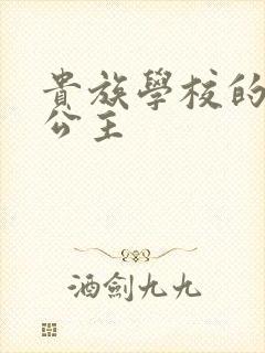 贵族学校的双面公主