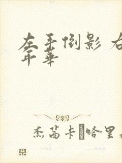 左手倒影 右手年华