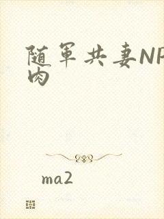 随军共妻NP纯肉