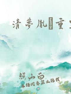 清梦胤礽重生