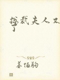 总裁夫人又征婚了