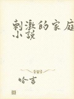 刺激的家庭乱仑小说